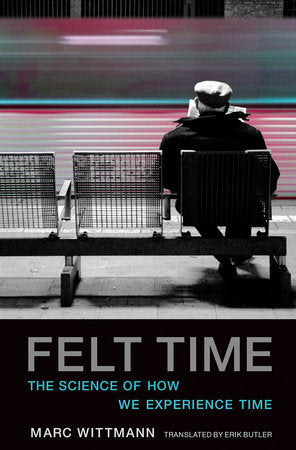 Felt Time Paperback by Marc Wittmann; translated by Erik Butler