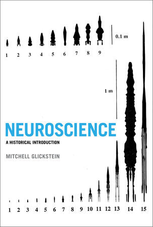 Neuroscience Paperback by Mitchell Glickstein
