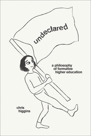 Undeclared Paperback by Chris Higgins