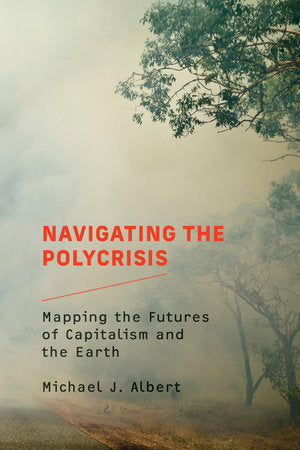 Navigating the Polycrisis Paperback by Michael J. Albert
