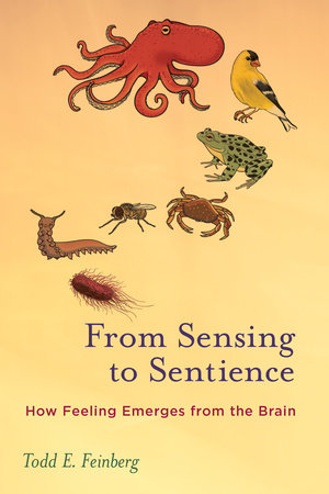 From Sensing to Sentience Paperback by Todd E. Feinberg
