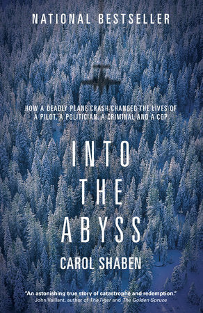 Into the Abyss Paperback by Carol Shaben