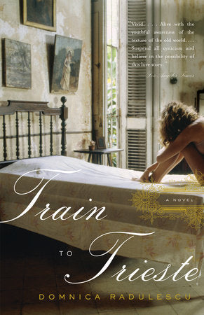 Train to Trieste Paperback by Domnica Radulescu