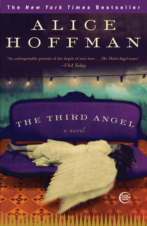 The Third Angel Paperback by Alice Hoffman