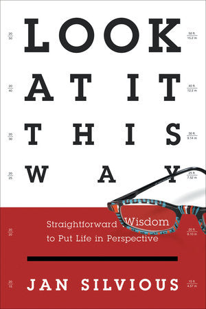 Look at It This Way Paperback by Jan Silvious