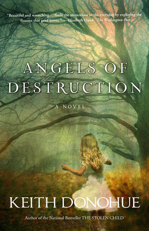 Angels of Destruction Paperback by Keith Donohue