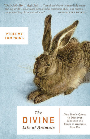 The Divine Life of Animals Paperback by Ptolemy Tompkins