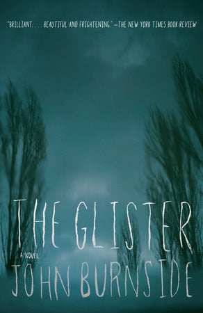 The Glister Paperback by John Burnside