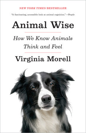 Animal Wise Paperback by Virginia Morell