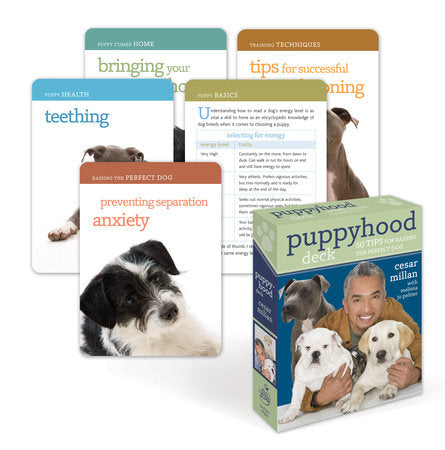 Puppyhood Deck Merchandise by Cesar Millan