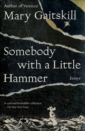 Somebody with a Little Hammer Paperback by Mary Gaitskill
