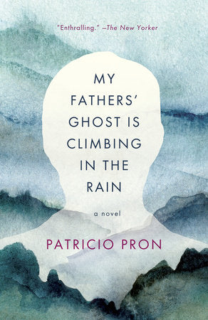 My Fathers' Ghost Is Climbing in the Rain Paperback by Patricio Pron Translated by Mara Faye Lethem
