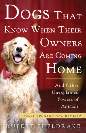 Dogs That Know When Their Owners Are Coming Home Paperback by Rupert Sheldrake