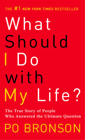 What Should I Do with My Life? Paperback by Po Bronson