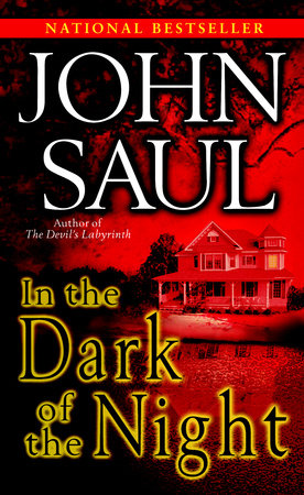 In the Dark of the Night Paperback by John Saul