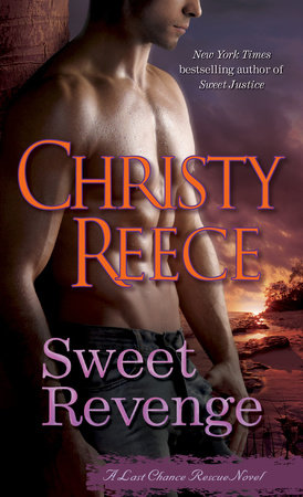 Sweet Revenge Paperback by Christy Reece