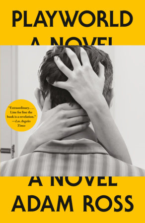 Playworld Paperback by Adam Ross