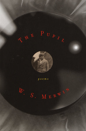 The Pupil Paperback by W. S. Merwin