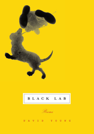 Black Lab Paperback by David Young