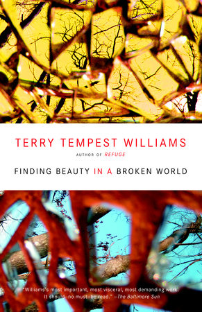 Finding Beauty in a Broken World Paperback by Terry Tempest Williams