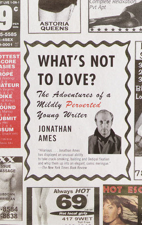 What's Not to Love? Paperback by Jonathan Ames