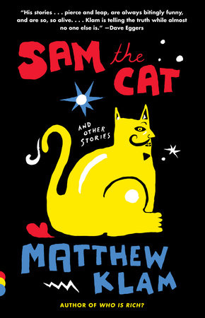Sam the Cat Paperback by Matthew Klam