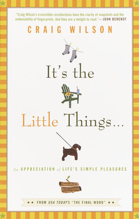 It's the Little Things . . . Paperback by Craig Wilson