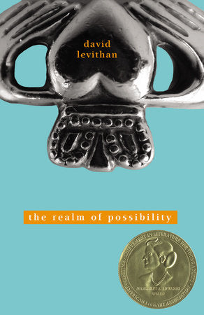 The Realm of Possibility Paperback by David Levithan