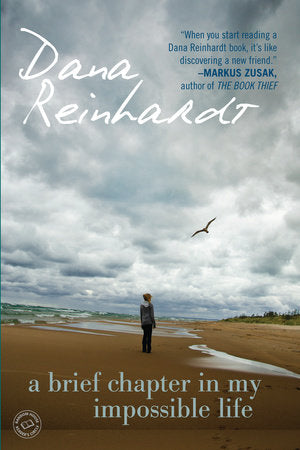 A Brief Chapter in My Impossible Life Paperback by Dana Reinhardt