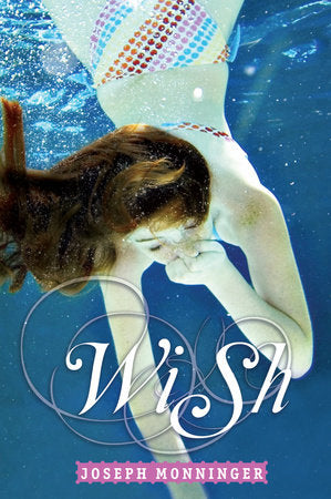 Wish Paperback by Joseph Monninger
