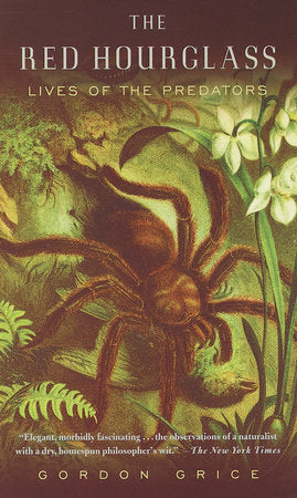 The Red Hourglass Paperback by Gordon Grice