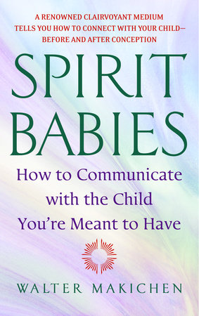 Spirit Babies Paperback by Walter Makichen