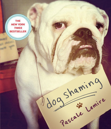 Dog Shaming Paperback by Pascale Lemire