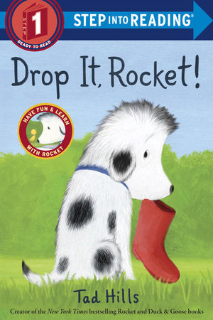 Drop It, Rocket! Paperback by Tad Hills