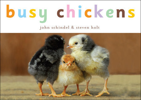 Busy Chickens EL by John Schindel; photographs by Steven Holt