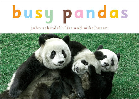 Busy Pandas EL by John Schindel; Photographed by Lisa Husar and Mike Husar