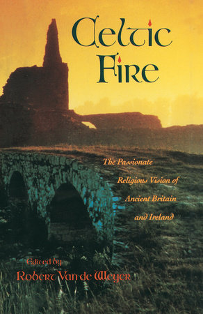 Celtic Fire Paperback by Robert Van De Weyer
