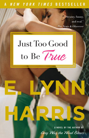 Just Too Good to Be True Paperback by E. Lynn Harris