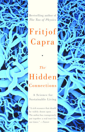 The Hidden Connections Paperback by Fritjof Capra