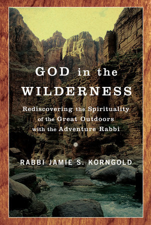God in the Wilderness Paperback by Rabbi Jamie Korngold