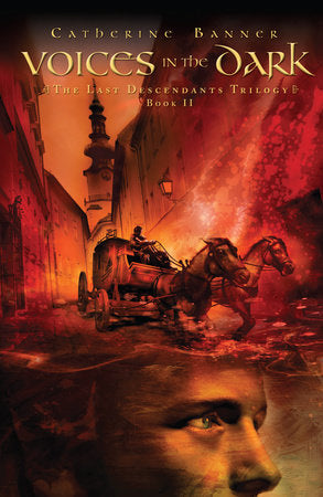 Voices in the Dark Paperback by Catherine Banner
