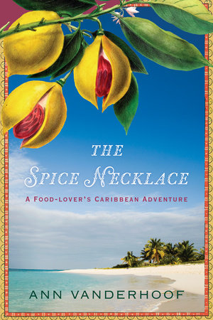 The Spice Necklace Paperback by Ann Vanderhoof
