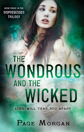 The Wondrous and the Wicked Hardcover by Page Morgan