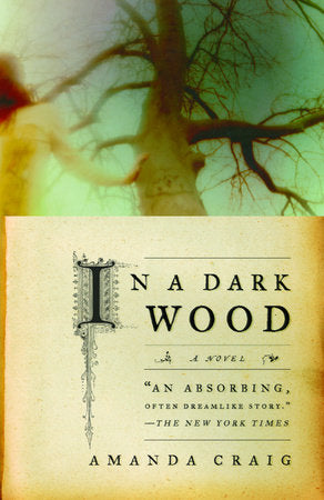 In a Dark Wood Paperback by Amanda Craig