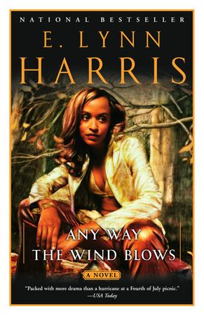 Any Way the Wind Blows Paperback by E. Lynn Harris