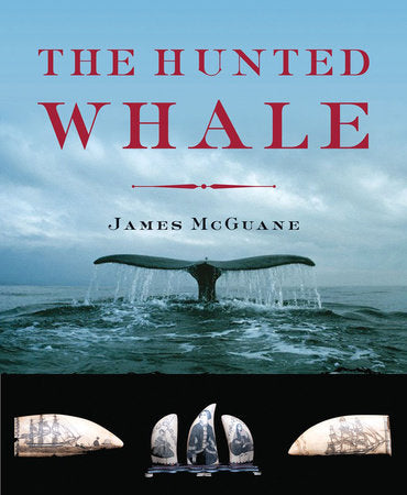 The Hunted Whale Hardcover by James Mcguane
