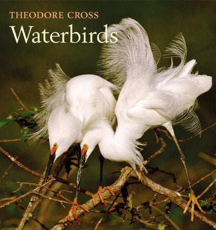 Waterbirds Hardcover by Theodore Cross