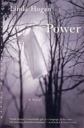 Power Paperback by Linda Hogan