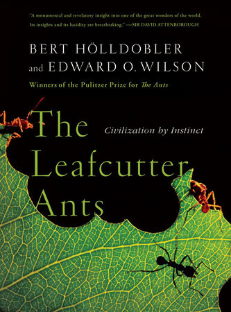 The Leafcutter Ants Paperback by Bert Holldobler; Edward O Wilson