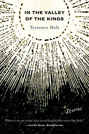 In the Valley of the Kings Paperback by Terrence Holt